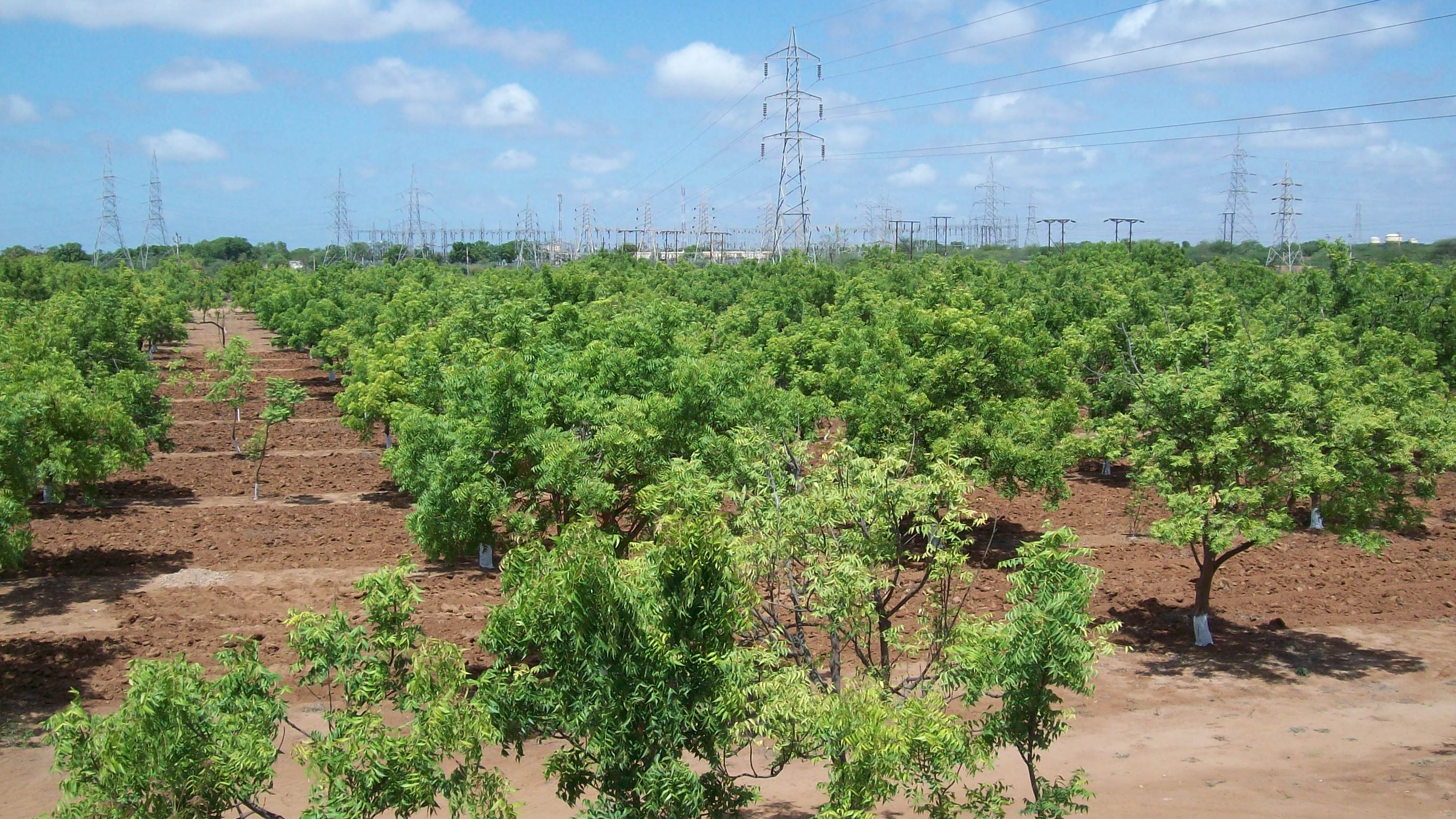 GREEN EARTH PROJECT